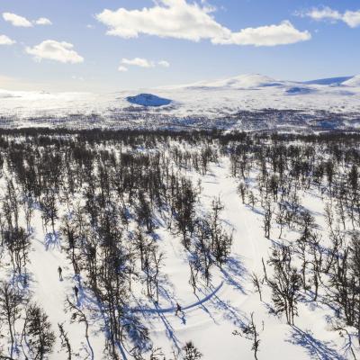 Längdspår i Fjällnäs, Funäsfjällen