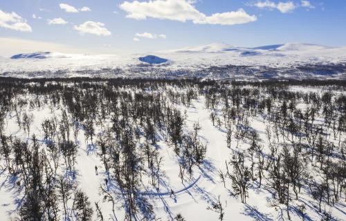 Längdspår i Fjällnäs, Funäsfjällen