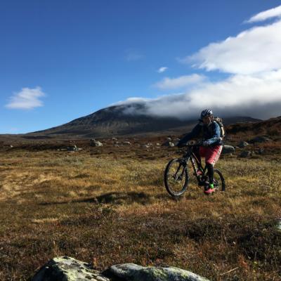 MTB-cykling i Fjällnäs vackra närområde